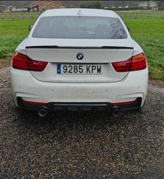BMW Serie 4 2014