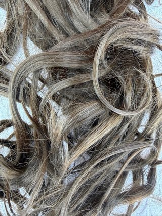 Coda di capelli veri castani lunghi mossi