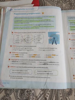 Lengua castellana, 5 Primaria