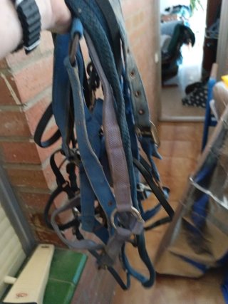 Protecciones para caballos