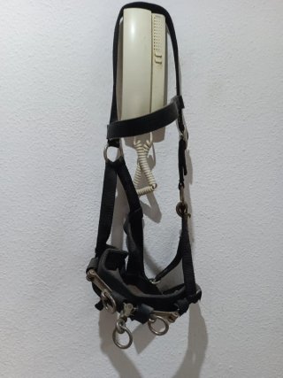 Protecciones para caballos