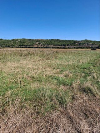 Finca en Tudela