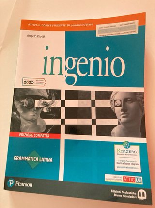 Ingenio 1