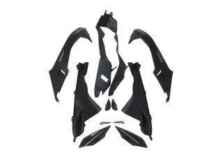 CARENADO PINTADO BMW S1000R 2009-2014