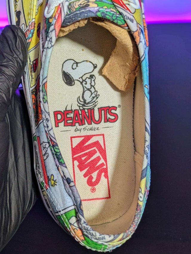 Vans x Peanuts Authentic Multicolor