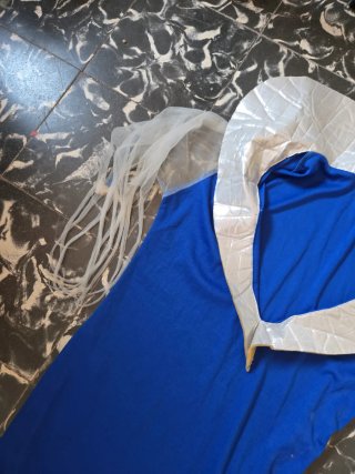 Disfraz Bruja Adulto Túnica Azul