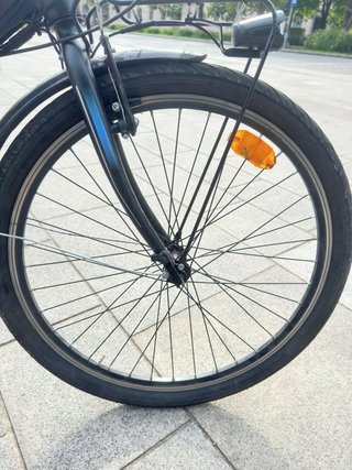 Bicicletta Elettrica Torpado T260