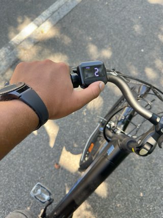 Bicicletta Elettrica Torpado T260