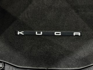 FORD Kuga ST-Line 2.5 190 CV Duratec FHEV Auto