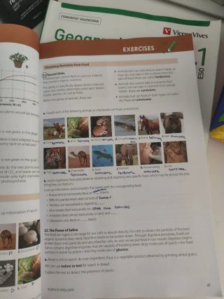 Biology & Geology, 1st ESO, Science Bits