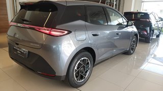 BYD Dolphin G 2026