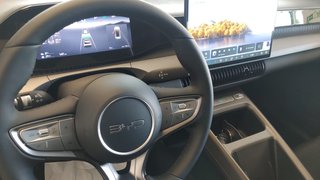 BYD Dolphin G 2026