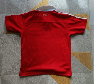 Camiseta Rugby British Lions Adidas XL