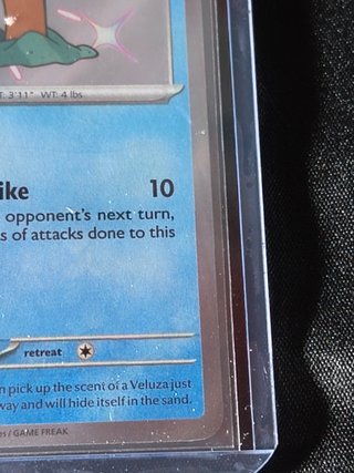 Wiglett 121/091 Paldean Fates Shiny NM