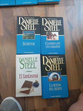 Colección Danielle Steel desde