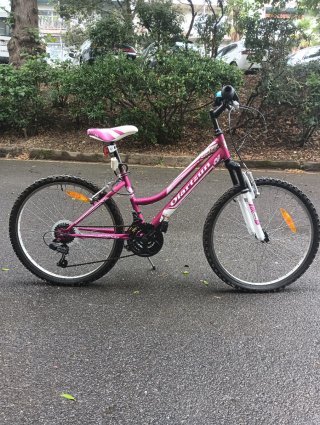 Bicicleta rosa Oiarztun