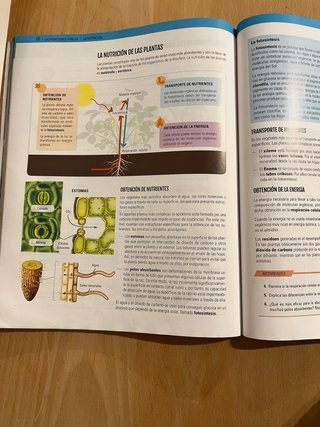 Biología y Geología I, ESO, Secundaria, De otra...