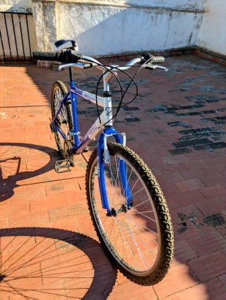 Bicicleta