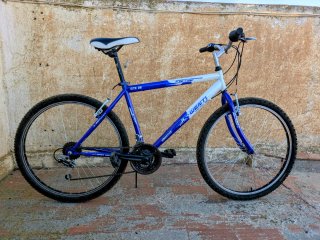 Bicicleta