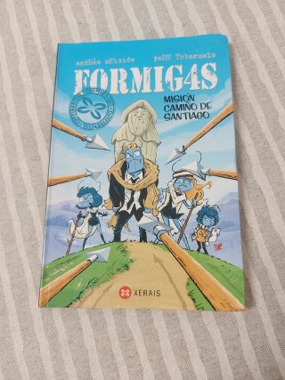 Misión Camiño de Santiago