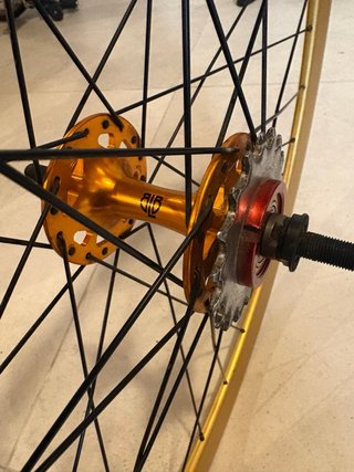 Rueda trasera BLB Singlespeed / Fixie