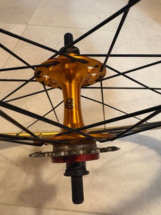 Rueda trasera BLB Singlespeed / Fixie