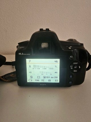 Sony a230 + Tamron 35-80mm