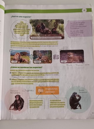 BIOLOGIA Y GEOLOGIA MEC 1ESO CONSTRUYENDO MUNDOS