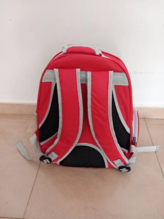 Bolso Transportín Mascotas Transparente Rojo