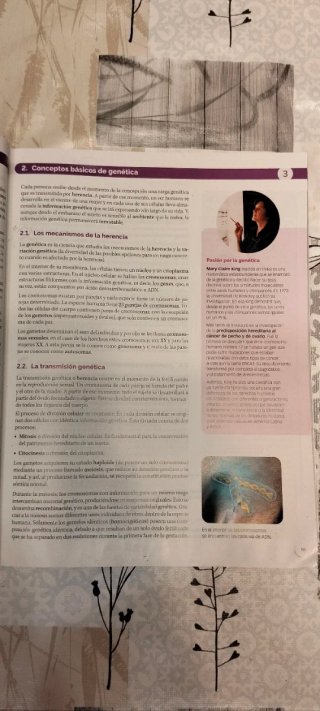 Psicología 2 Bachillerato
