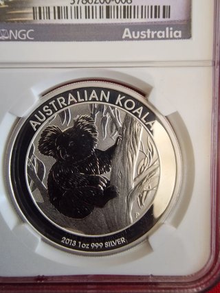 Australia: Elisabetta II -2013- 1 Dollaro "Koala"