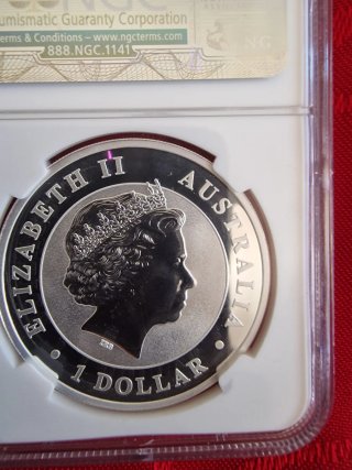 Australia: Elisabetta II -2013- 1 Dollaro "Koala"