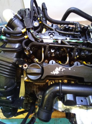Motor Ford 1.6 TDCI 90CV G8DA Completo