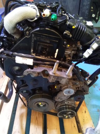 Motor Ford 1.6 TDCI 90CV G8DA Completo