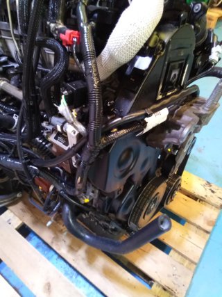 Motor Ford 1.6 TDCI 90CV G8DA Completo