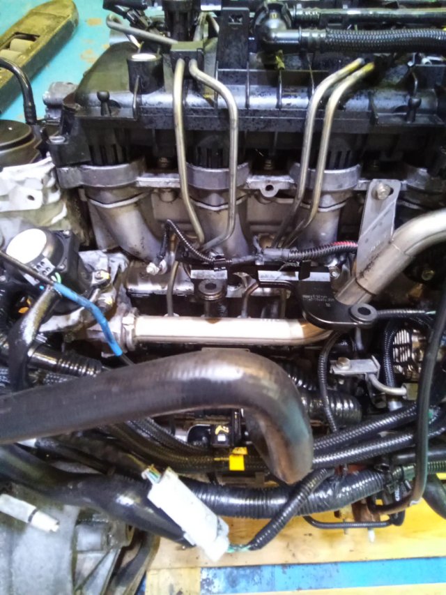 Motor Ford 1.6 TDCI 90CV G8DA Completo