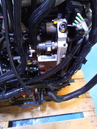 Motor Ford 1.6 TDCI 90CV G8DA Completo