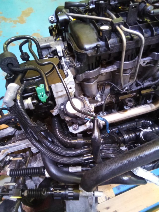 Motor Ford 1.6 TDCI 90CV G8DA Completo
