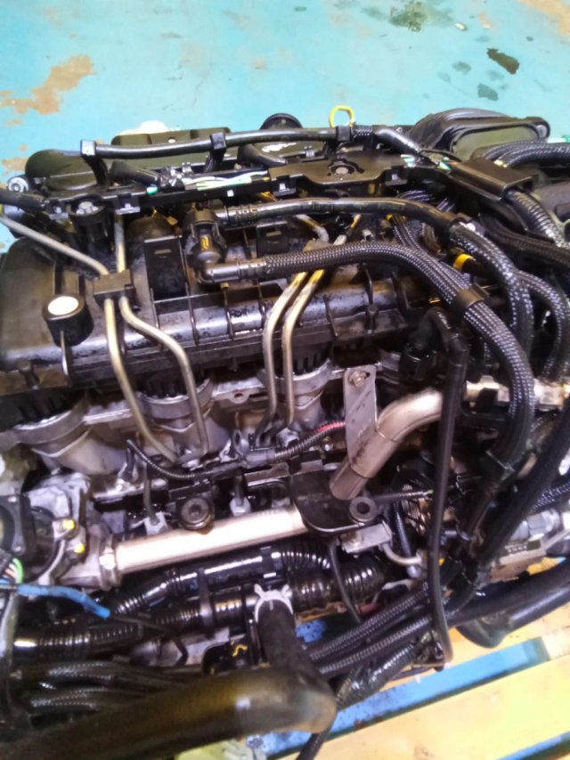 Motor Ford 1.6 TDCI 90CV G8DA Completo
