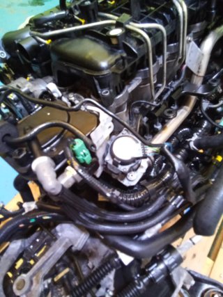 Motor Ford 1.6 TDCI 90CV G8DA Completo