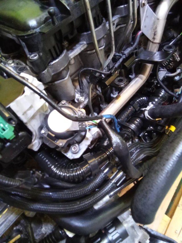 Motor Ford 1.6 TDCI 90CV G8DA Completo