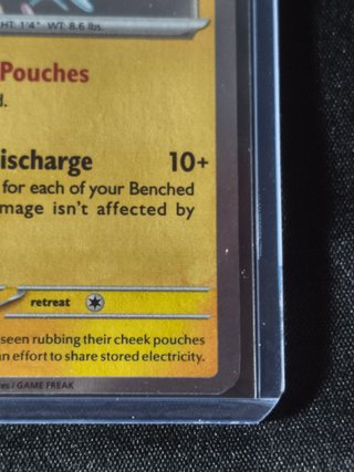 Pachirisu 138/091 (Shiny) NM Inglés