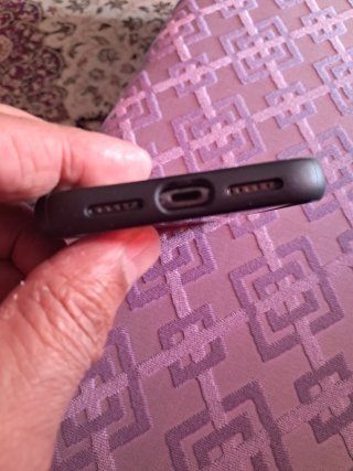 iPhone 11 Apple mojado