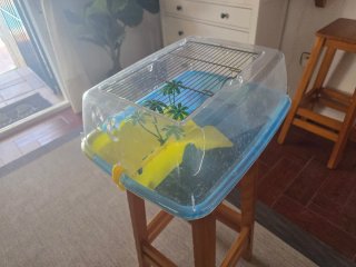 Tortuguera Acuario 48x35x25 cm