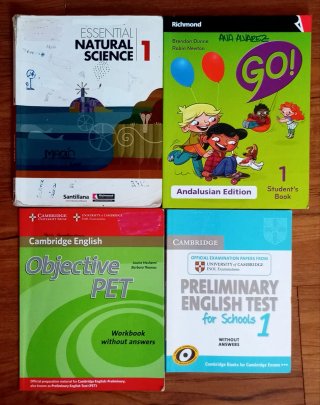 VENDO LIBROS TEXTOS INGLÉS ALEMÁN. ENVÍO