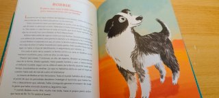 Cuentos de animales