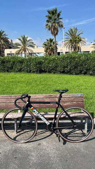 Bicicleta Fixie Polo&Bike Williamsburg T-S