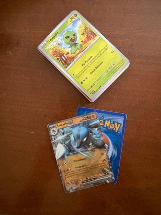 Carte Pokémon Capsakid e Lucario GX