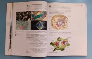 Biologia 1 batxillerat