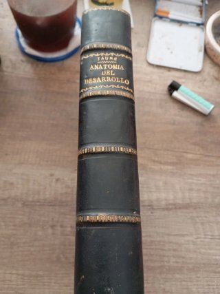 Anatomía del desarrollo. Embriologia humana. 1956